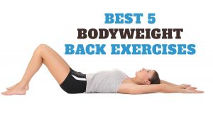 Best Bodyweight Back Exercises