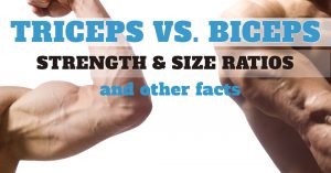 Triceps vs. Biceps (Strength & Size Ratio)